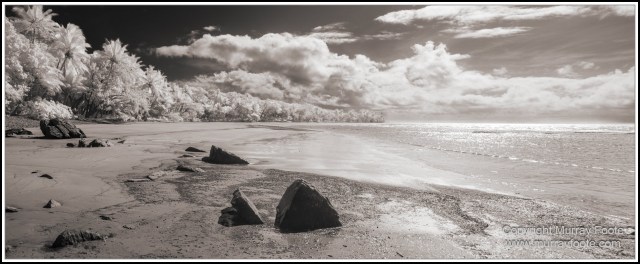 Black and White, Cape Tribulation, Daintree, Infrared, Landscape, Monochrome, Nature, Photography, Travel