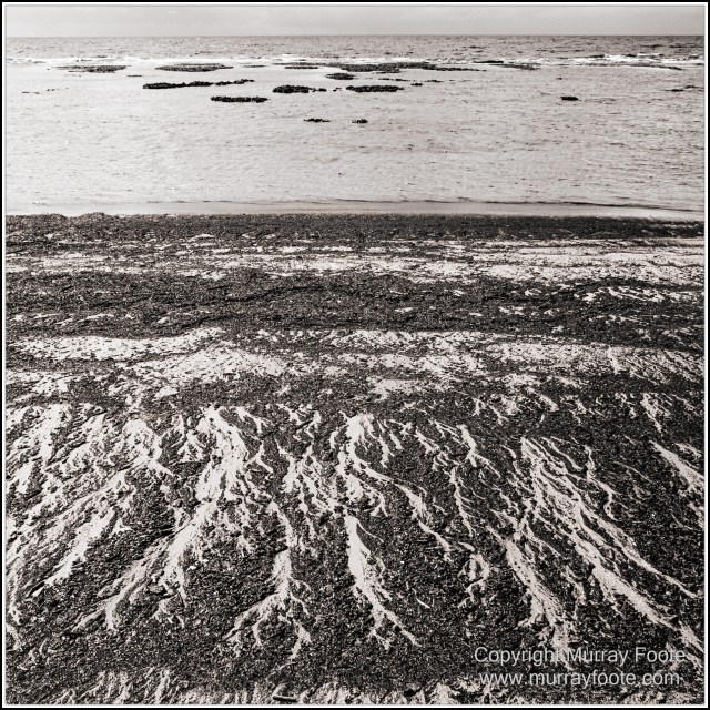 Black and White, Cape Tribulation, Daintree, Infrared, Landscape, Monochrome, Nature, Photography, Travel