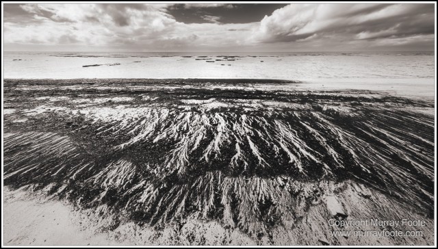 Black and White, Cape Tribulation, Daintree, Infrared, Landscape, Monochrome, Nature, Photography, Travel