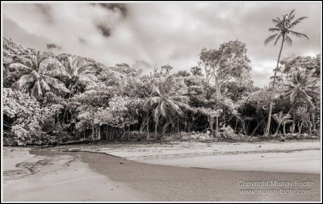 Black and White, Cape Tribulation, Daintree, Infrared, Landscape, Monochrome, Nature, Photography, Travel