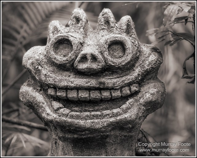 Black and White, Cape Tribulation, Daintree, Infrared, Landscape, Monochrome, Nature, Photography, Travel