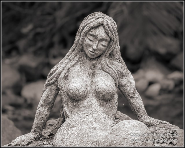 Black and White, Cape Tribulation, Daintree, Infrared, Landscape, Monochrome, Nature, Photography, Travel