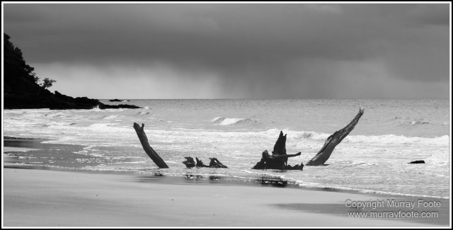 Black and White, Cape Tribulation, Daintree, Kuranda, Landscape, Monochrome, Nature, Photography, Street photography, Travel