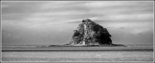 Black and White, Cape Tribulation, Daintree, Kuranda, Landscape, Monochrome, Nature, Photography, Street photography, Travel