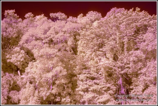 Barron Falls, Historic Train, Infrared, Kuranda, Landscape, Nature, Photography, Queensland, Sky Rail, Travel, Wilderness