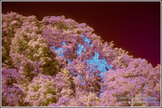 Barron Falls, Historic Train, Infrared, Kuranda, Landscape, Nature, Photography, Queensland, Sky Rail, Travel, Wilderness