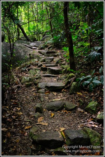 Cairns, Fitzroy Island, Landscape, Nature, Photography, Queensland, seascape, Travel, Wilderness