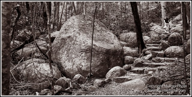 Birds, Black and White, Infrared, Landscape, Monochrome, Nature, Photography, Queensland, Travel, Wildlife