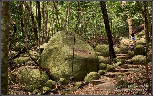 Cairns, Fitzroy Island, Landscape, Nature, Photography, Queensland, seascape, Travel, Wilderness