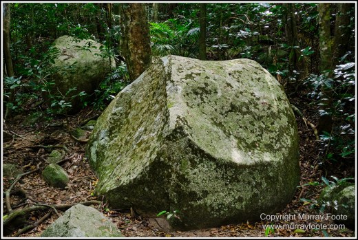 Cairns, Fitzroy Island, Landscape, Nature, Photography, Queensland, seascape, Travel, Wilderness