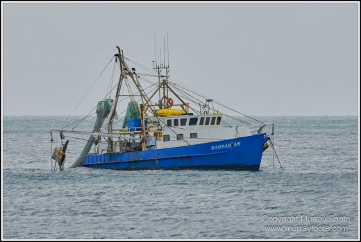 Cairns, Fitzroy Island, Landscape, Nature, Photography, Queensland, seascape, Travel, Wilderness
