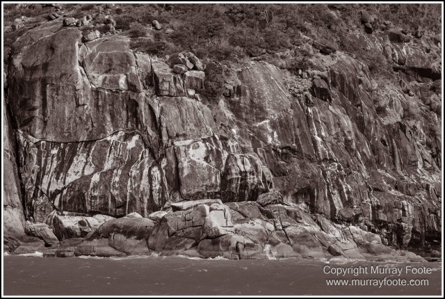 Birds, Black and White, Infrared, Landscape, Monochrome, Nature, Photography, Queensland, Travel, Wildlife