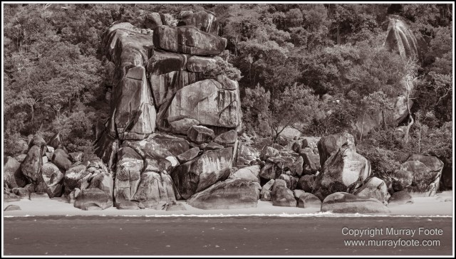 Birds, Black and White, Infrared, Landscape, Monochrome, Nature, Photography, Queensland, Travel, Wildlife