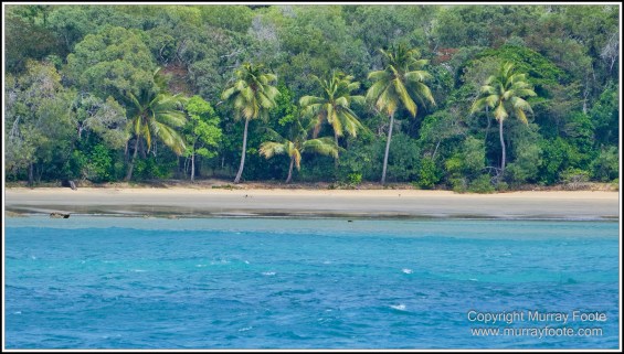 Cairns, Fitzroy Island, Landscape, Nature, Photography, Queensland, seascape, Travel, Wilderness
