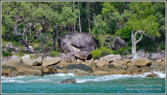 Cairns, Fitzroy Island, Landscape, Nature, Photography, Queensland, seascape, Travel, Wilderness
