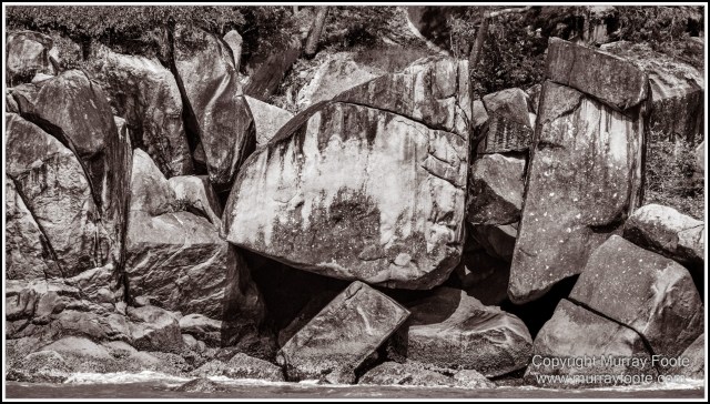 Birds, Black and White, Infrared, Landscape, Monochrome, Nature, Photography, Queensland, Travel, Wildlife
