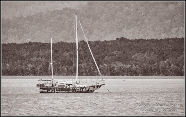 Birds, Black and White, Infrared, Landscape, Monochrome, Nature, Photography, Queensland, Travel, Wildlife