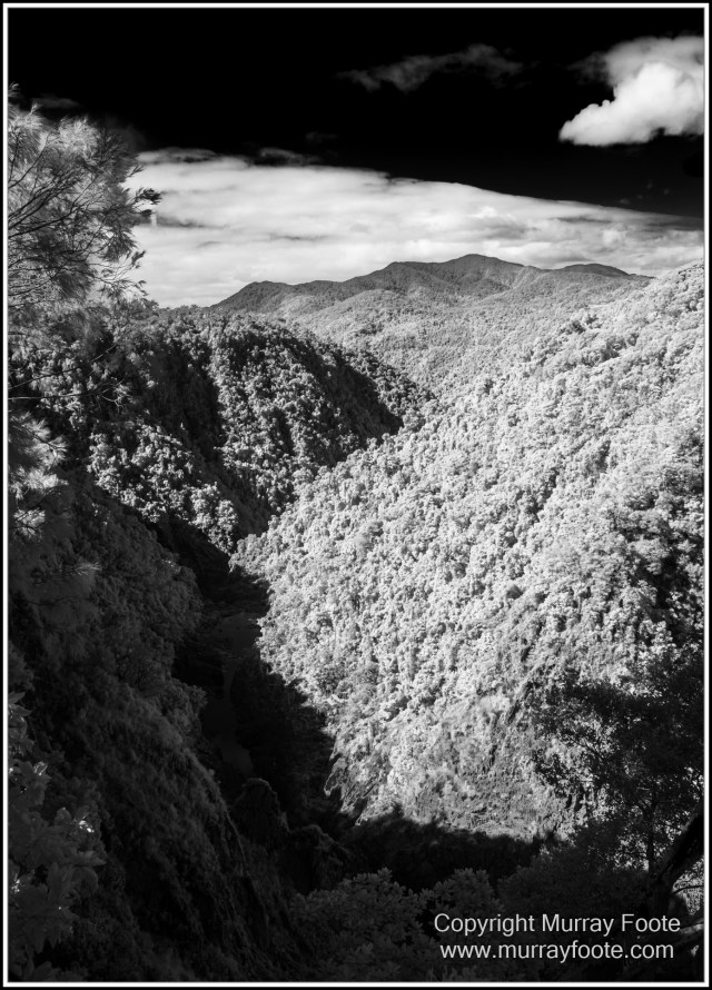 Birds, Black and White, Butterfly, Infrared, Kuranda, Landscape, Monochrome, Nature, Photography, Queensland, Travel, Wildlife