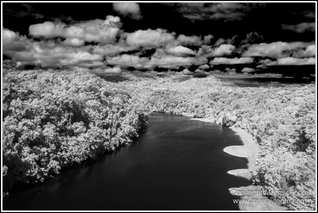 Birds, Black and White, Butterfly, Infrared, Kuranda, Landscape, Monochrome, Nature, Photography, Queensland, Travel, Wildlife