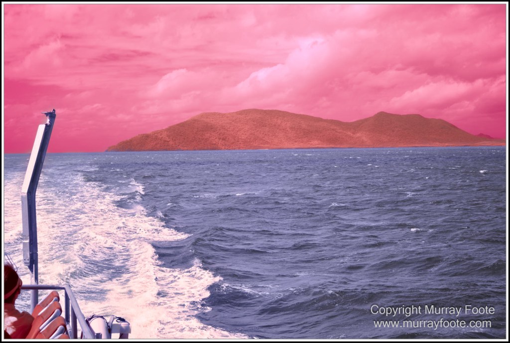 Cairns, Infrared, Landscape, Nature, Photography, Queensland, seascape, Travel, Wildlife
