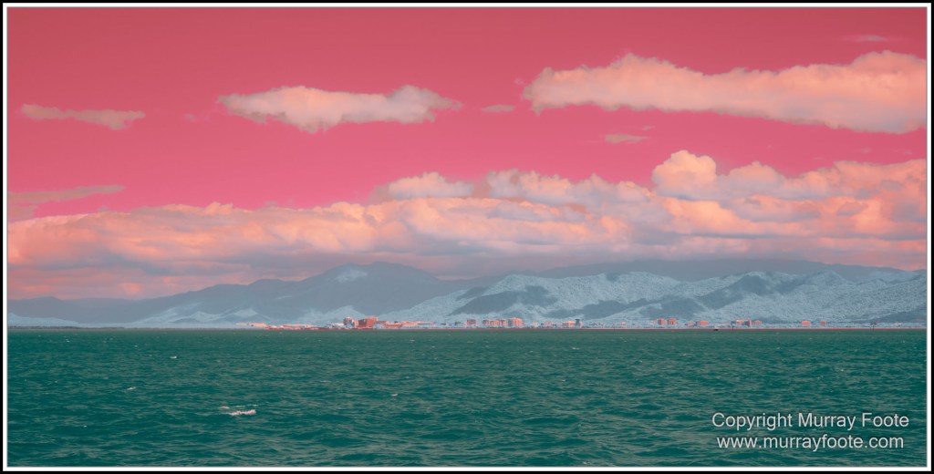 Cairns, Infrared, Landscape, Nature, Photography, Queensland, seascape, Travel, Wildlife
