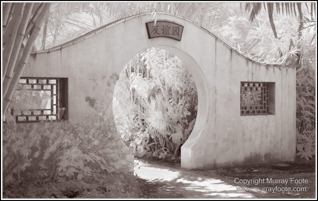 Birds, Black and White, Infrared, Landscape, Monochrome, Nature, Photography, Queensland, Travel, Wildlife