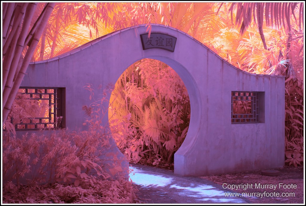 Cairns, Infrared, Landscape, Nature, Photography, Queensland, seascape, Travel, Wildlife
