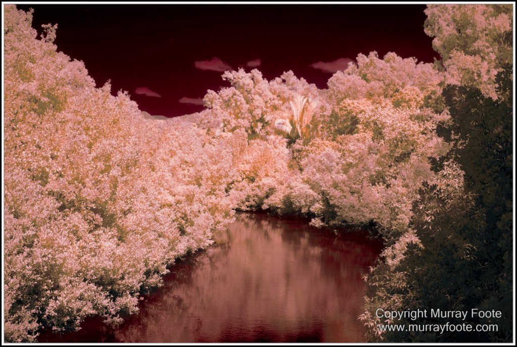 Cairns, Infrared, Landscape, Nature, Photography, Queensland, seascape, Travel, Wildlife