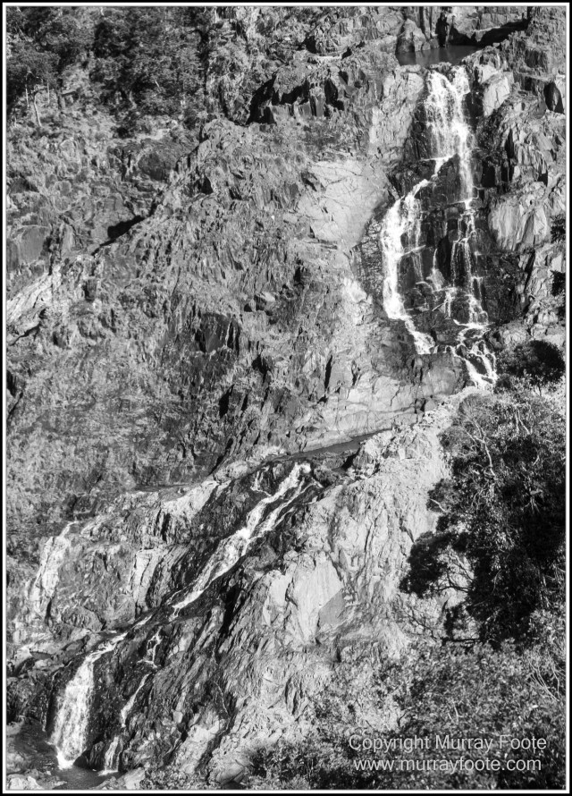 Birds, Black and White, Butterfly, Infrared, Kuranda, Landscape, Monochrome, Nature, Photography, Queensland, Travel, Wildlife