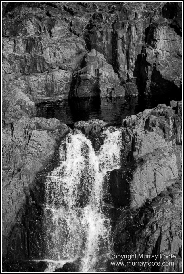 Birds, Black and White, Butterfly, Infrared, Kuranda, Landscape, Monochrome, Nature, Photography, Queensland, Travel, Wildlife