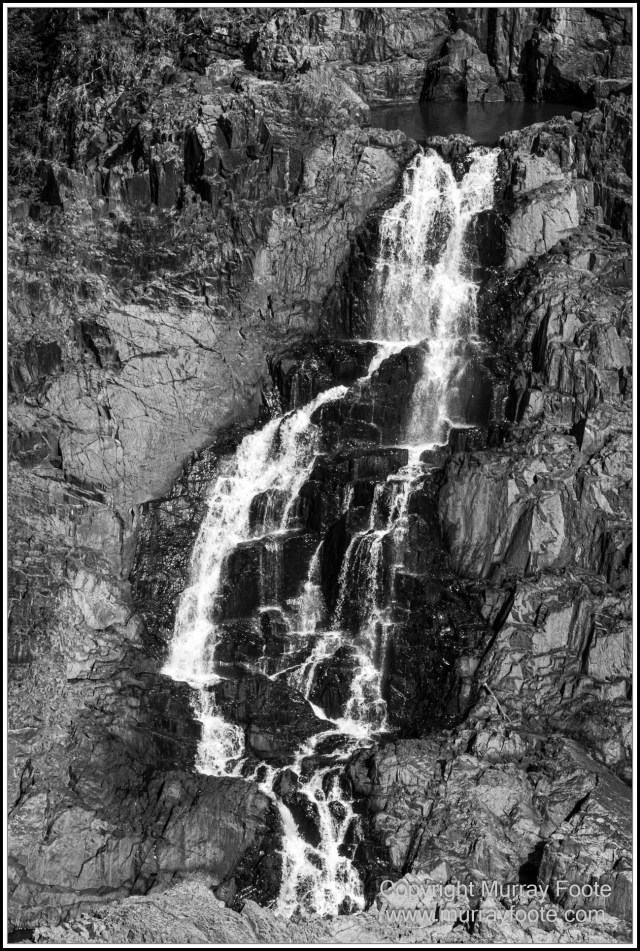 Birds, Black and White, Butterfly, Infrared, Kuranda, Landscape, Monochrome, Nature, Photography, Queensland, Travel, Wildlife