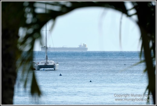 Cairns, Fitzroy Island, Landscape, Nature, Photography, Queensland, seascape, Travel, Wilderness