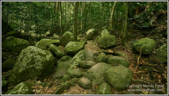 Cairns, Fitzroy Island, Landscape, Nature, Photography, Queensland, seascape, Travel, Wilderness