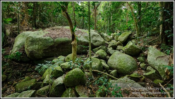 Cairns, Fitzroy Island, Landscape, Nature, Photography, Queensland, seascape, Travel, Wilderness