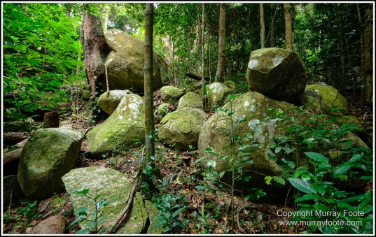 Cairns, Fitzroy Island, Landscape, Nature, Photography, Queensland, seascape, Travel, Wilderness