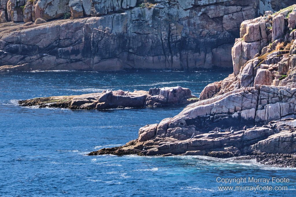 Bicheno, Coles Bay, Landscape, Macro, Milky Way, Photography, Tasmania, Travel.