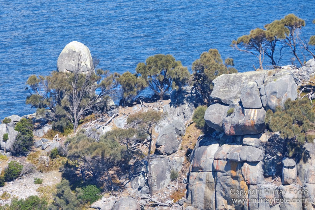 Bicheno, Coles Bay, Landscape, Macro, Milky Way, Photography, Tasmania, Travel.