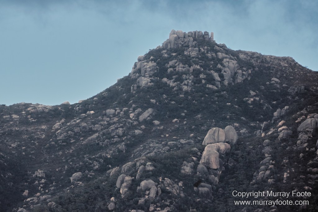 Bicheno, Coles Bay, Landscape, Macro, Milky Way, Photography, Tasmania, Travel.
