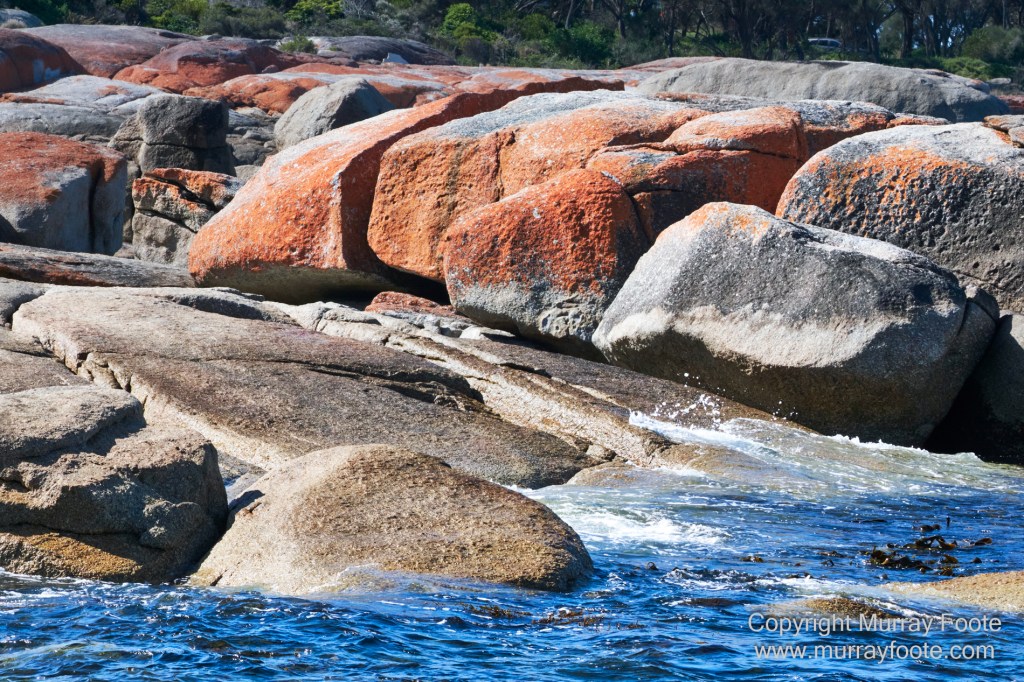 Bicheno, Coles Bay, Landscape, Macro, Milky Way, Photography, Tasmania, Travel.
