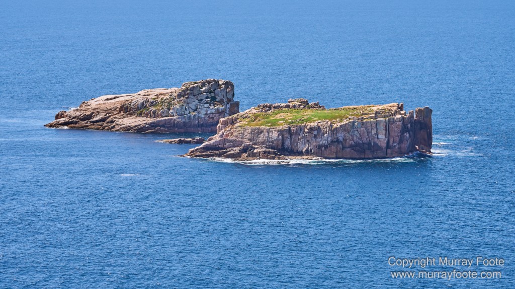 Bicheno, Coles Bay, Landscape, Macro, Milky Way, Photography, Tasmania, Travel.