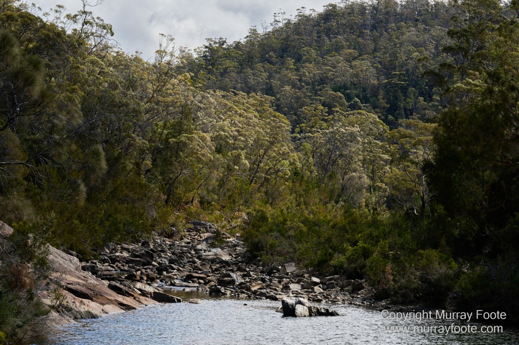 Bicheno, Coles Bay, Landscape, Macro, Milky Way, Photography, Tasmania, Travel.