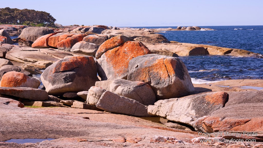 Bicheno, Coles Bay, Landscape, Macro, Milky Way, Photography, Tasmania, Travel.
