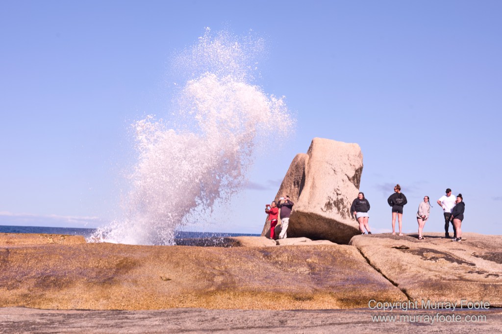 Bicheno, Coles Bay, Landscape, Macro, Milky Way, Photography, Tasmania, Travel.