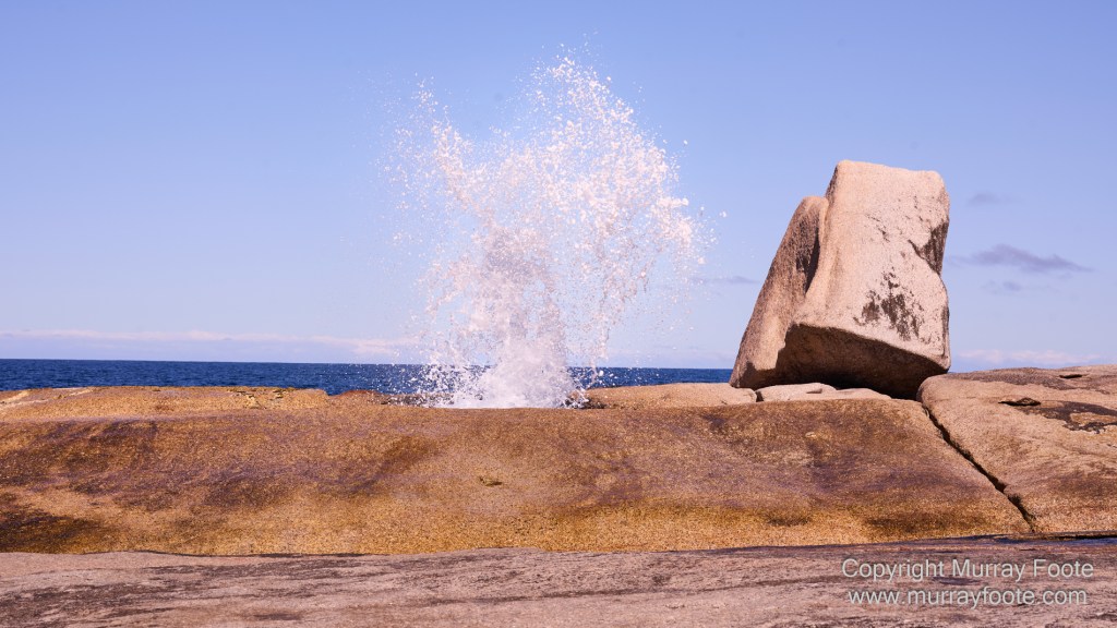Bicheno, Coles Bay, Landscape, Macro, Milky Way, Photography, Tasmania, Travel.