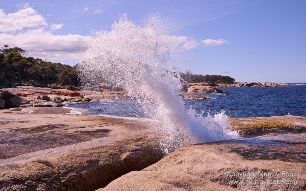 Bicheno, Coles Bay, Landscape, Macro, Milky Way, Photography, Tasmania, Travel.