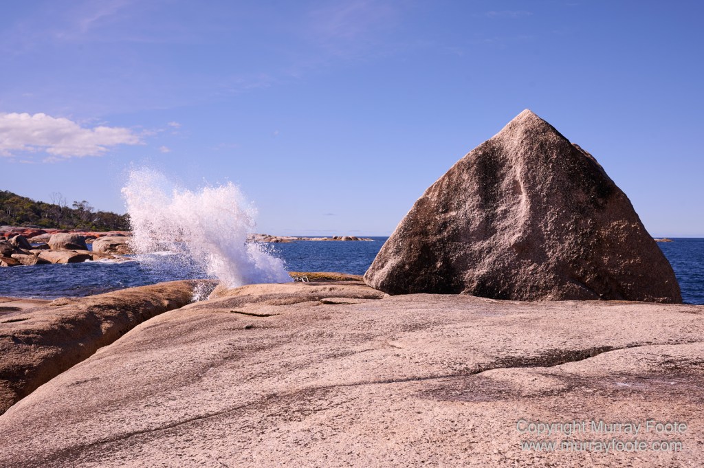 Bicheno, Coles Bay, Landscape, Macro, Milky Way, Photography, Tasmania, Travel.