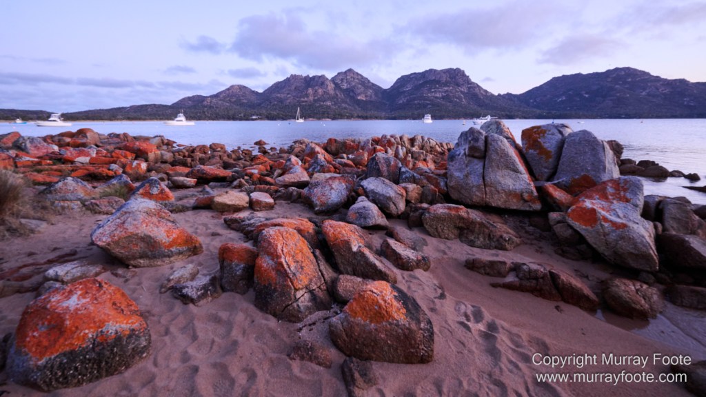 Bicheno, Coles Bay, Landscape, Macro, Milky Way, Photography, Tasmania, Travel.