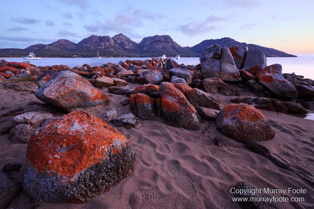 Bicheno, Coles Bay, Landscape, Macro, Milky Way, Photography, Tasmania, Travel.