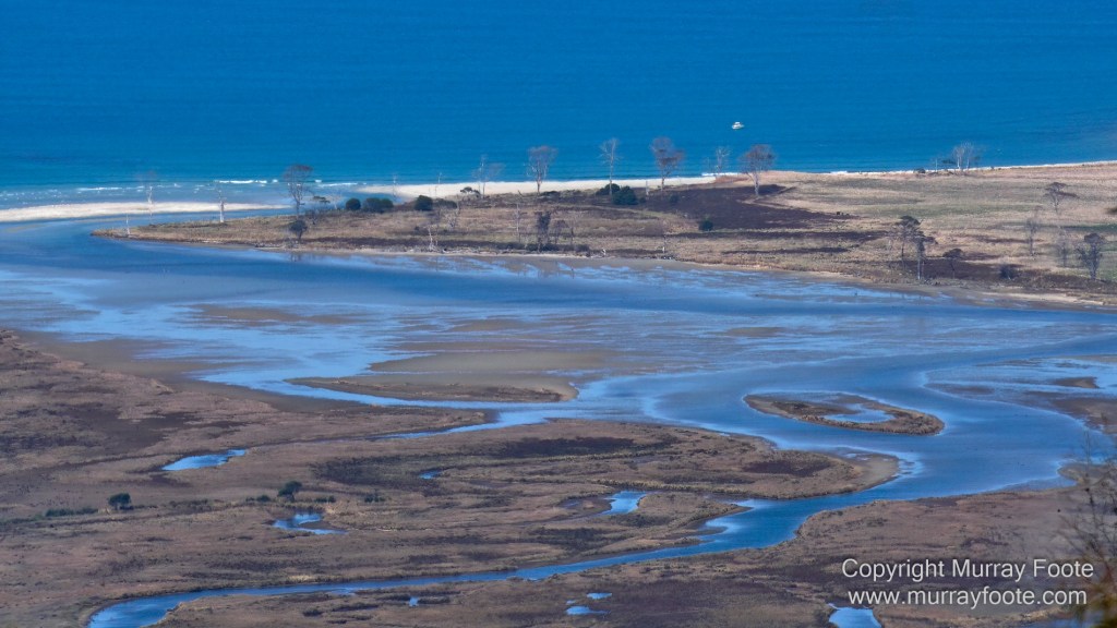 Birds, Coles Bay, Landscape, Macro, Milky Way, Photography, Port Arthur, Sleepy Bay, Tasmania, Tessellated pavement, Thumbs Lookout, Travel