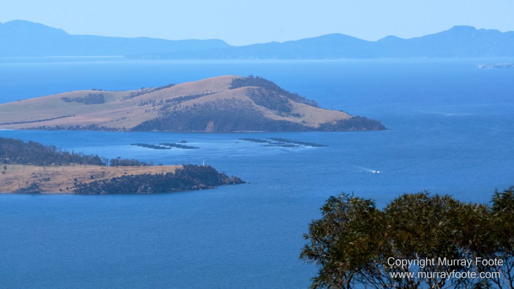 Birds, Coles Bay, Landscape, Macro, Milky Way, Photography, Port Arthur, Sleepy Bay, Tasmania, Tessellated pavement, Thumbs Lookout, Travel